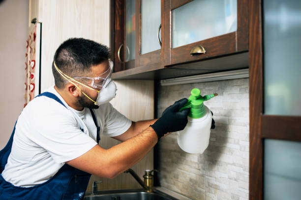 Best Pest Removal Services  in New Orleans Station, LA