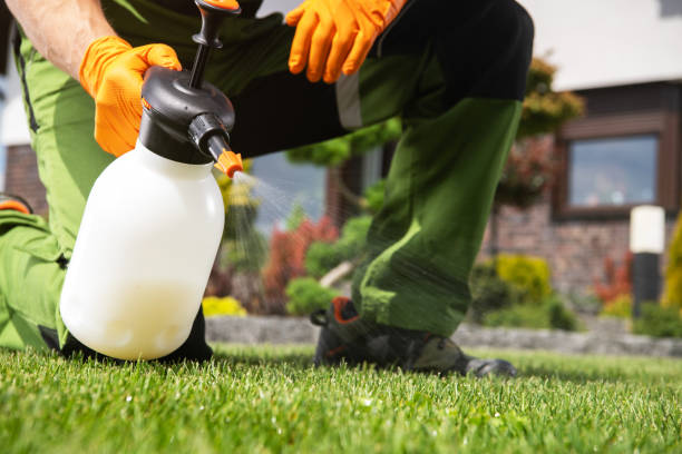 Best Pest Control Near Me  in New Orleans Station, LA