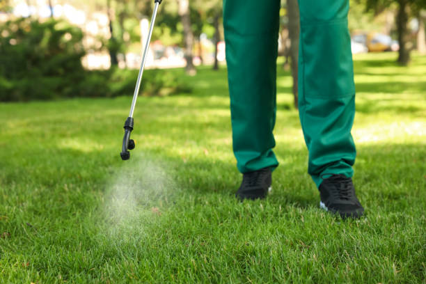 Best Best Pest Control Companies  in New Orleans Station, LA