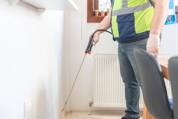 Best Local Pest Control Services  in New Orleans Station, LA