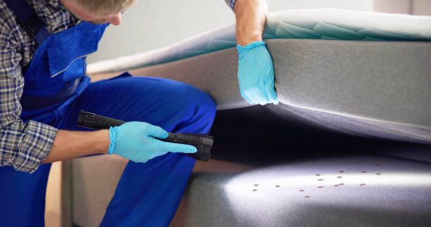 Best Affordable Pest Control Services  in New Orleans Station, LA