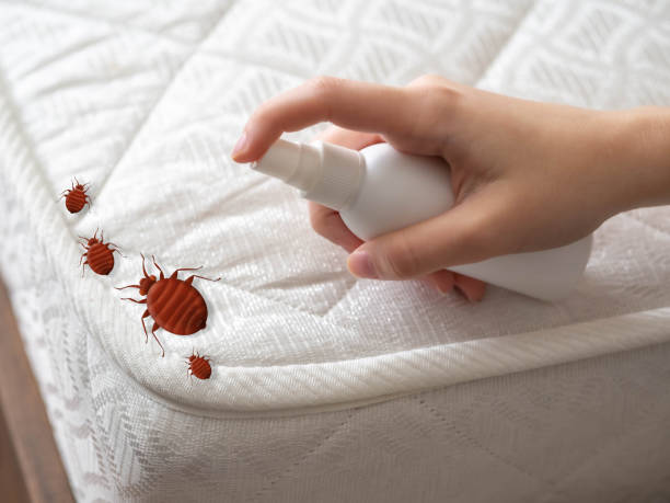 Best Pest Prevention Services  in New Orleans Station, LA