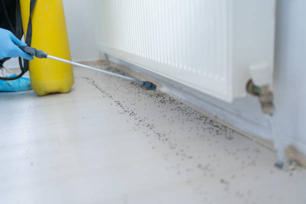 Best Exterminator Services  in New Orleans Station, LA
